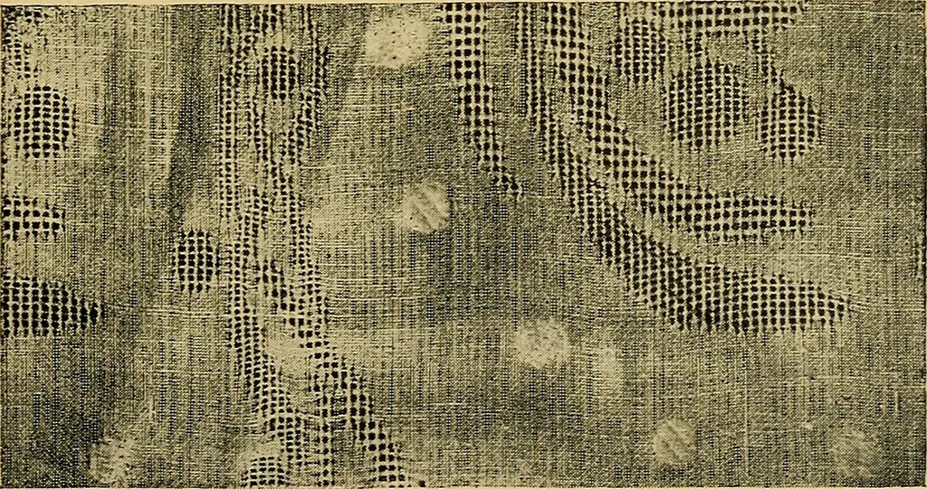 An illustration from Cottons, linens, woollens, silks. How to buy and judge materials. A useful guide with facts for warehouse, shop and home, 1914, leaf 80