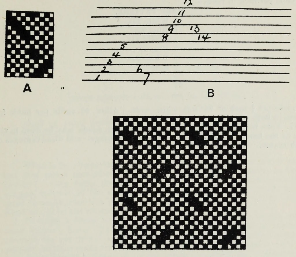 An illustration from The cotton weaver's handbook : a practical guide to the construction and costing of cotton fabrics, with studies in design, 1908, leaf 315