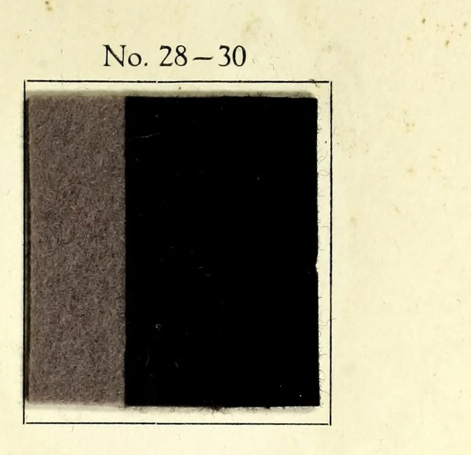 An illustration from Couleurs mode = Fashion shades = Saison-Farben, 1920, leaf 15
