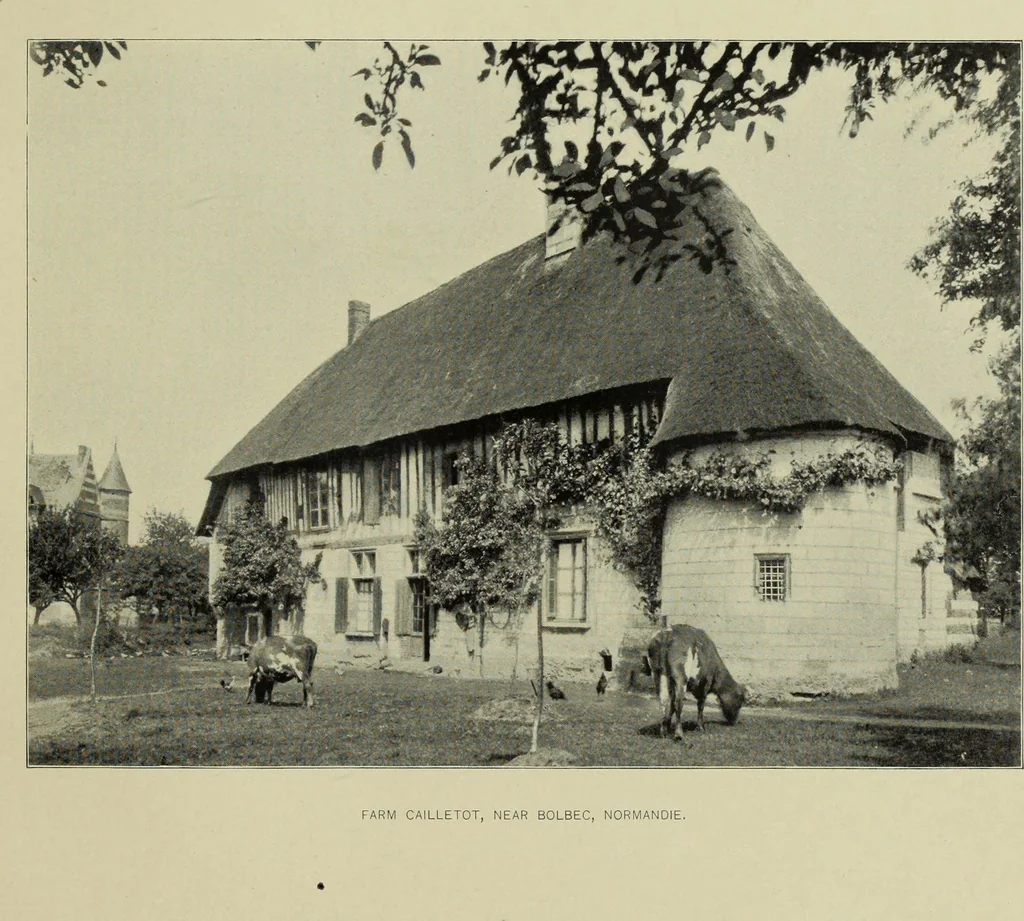 An illustration from Country architecture in France and England : XV. and XVI. centuries..., 1896, leaf 98