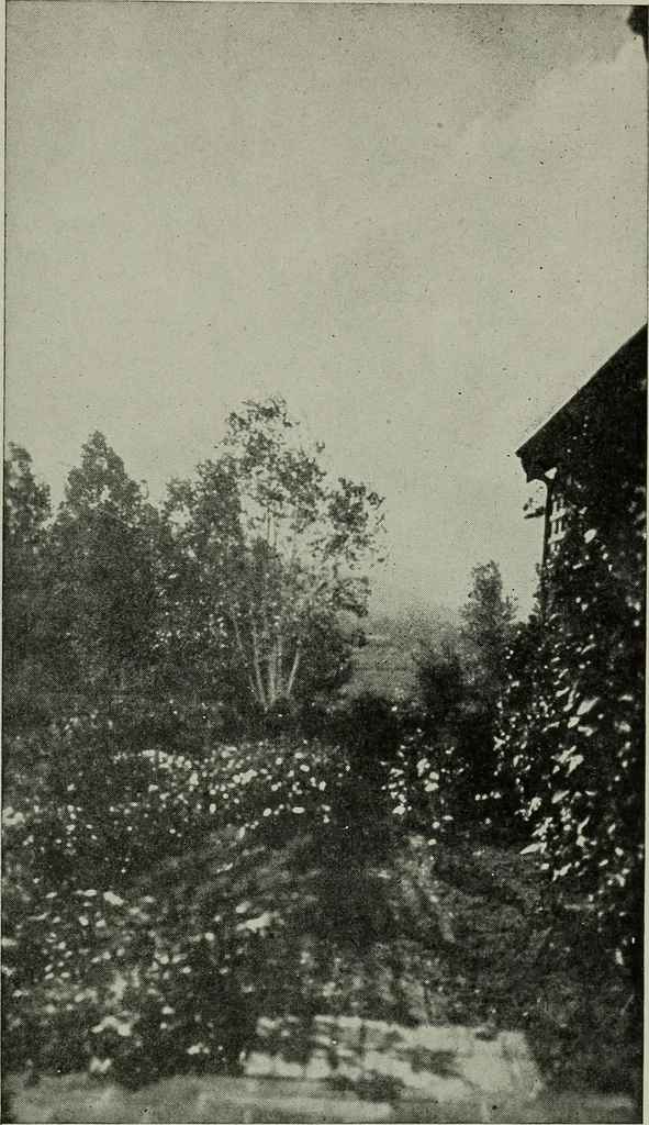 An illustration from The country church in colonial counties as illustrated by Addison County, Vt., Tompkins County, N.Y., and Warren County, N.Y, 1922, leaf 28