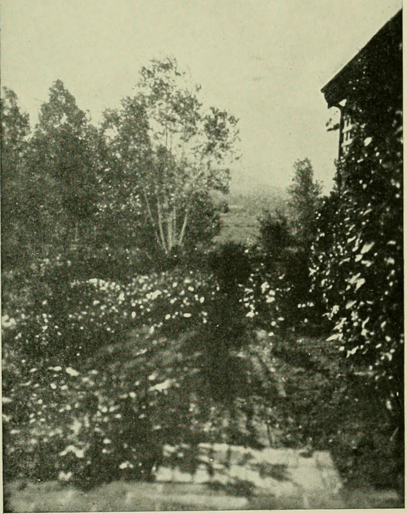 An illustration from The country church in colonial counties as illustrated by Addison County, Vt., Tompkins County, N.Y., and Warren County, N.Y, 1922, leaf 28