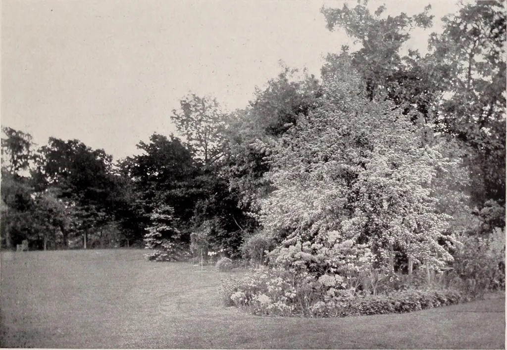 An illustration from Country homes and gardens of moderate cost;, 1907, leaf 104