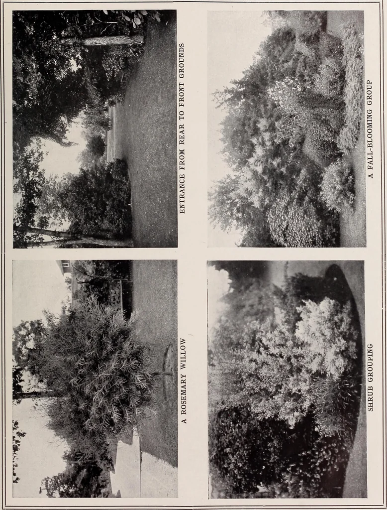 An illustration from Country homes and gardens of moderate cost;, 1907, leaf 106