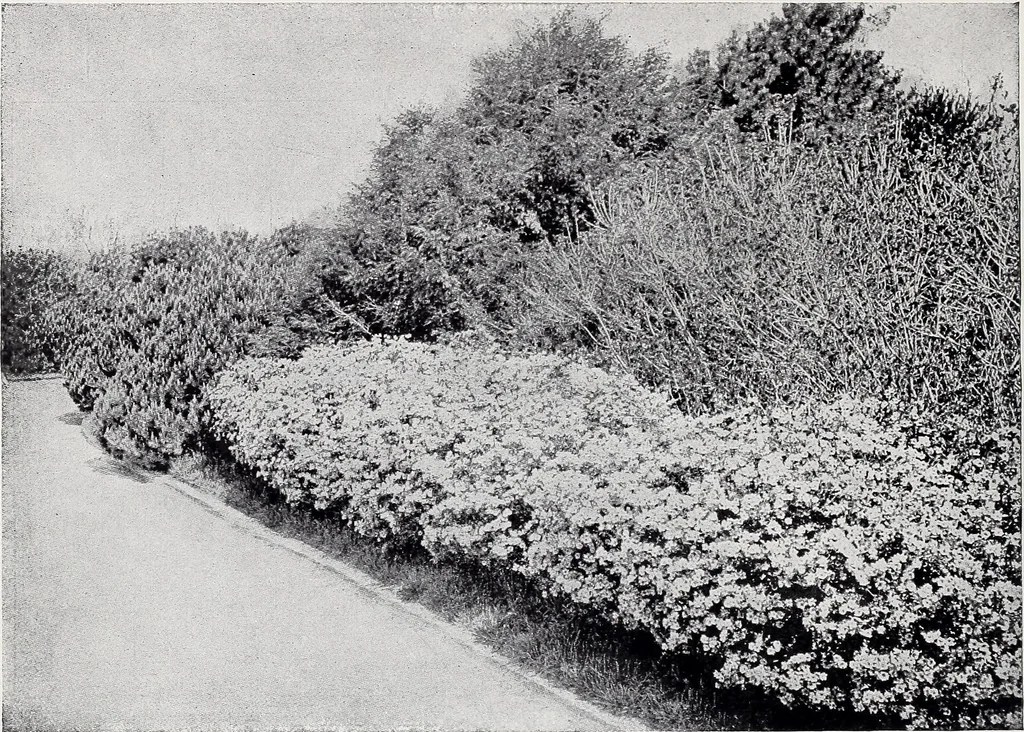An illustration from Country homes and gardens of moderate cost;, 1907, leaf 131