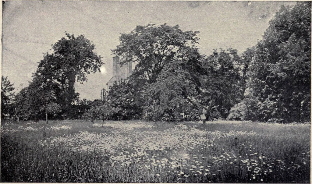 An illustration from The country house; a practical manual of the planning and construction of the American country home and its surroundings, 1905, leaf 30