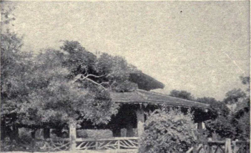 An illustration from The country house; a practical manual of the planning and construction of the American country home and its surroundings, 1905, leaf 310