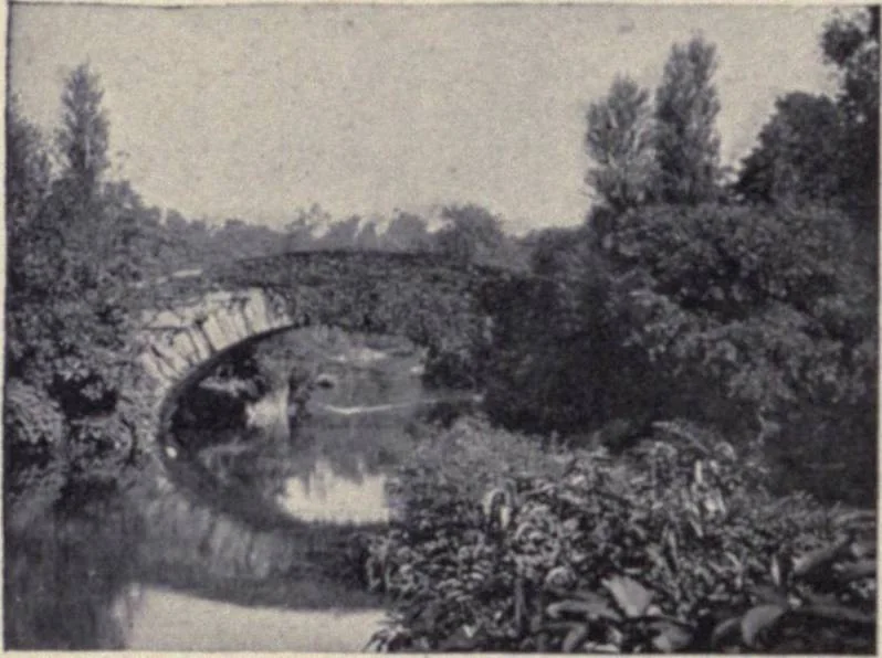 An illustration from The country house; a practical manual of the planning and construction of the American country home and its surroundings, 1905, leaf 315