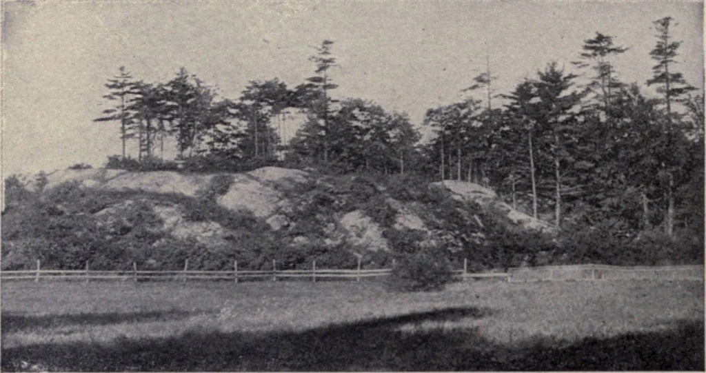 An illustration from The country house; a practical manual of the planning and construction of the American country home and its surroundings, 1905, leaf 39