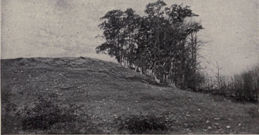 An illustration from The country house; a practical manual of the planning and construction of the American country home and its surroundings, 1905, leaf 43