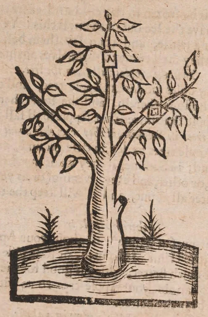 An illustration from The country-mans new art of planting and graffing: directing the best way to make any ground good for a rich orchard: with the manner how to plant and graffe all sorts of trees, to set and sow curnels; as also the remedies and medicines concerning the same; with divers other new experiments:, 1651, leaf 76
