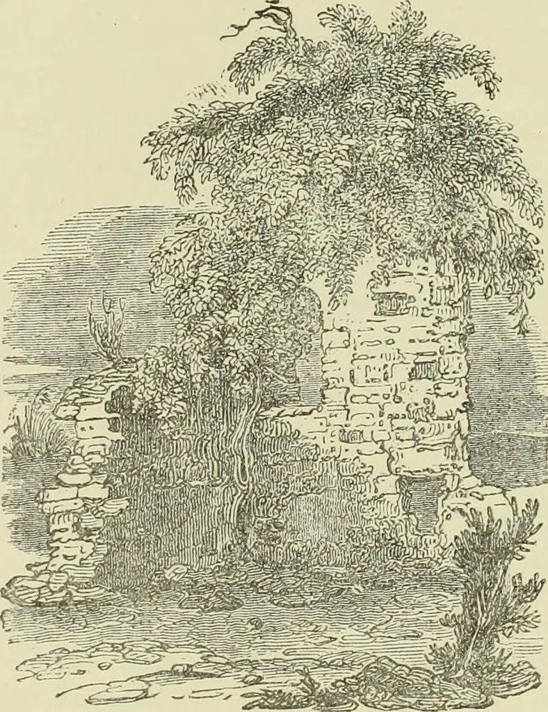 An illustration from The county seats of Shropshire : a series of descriptive sketches, with historical and antiquarian notes, of the principal family mansions, 1891, leaf 106