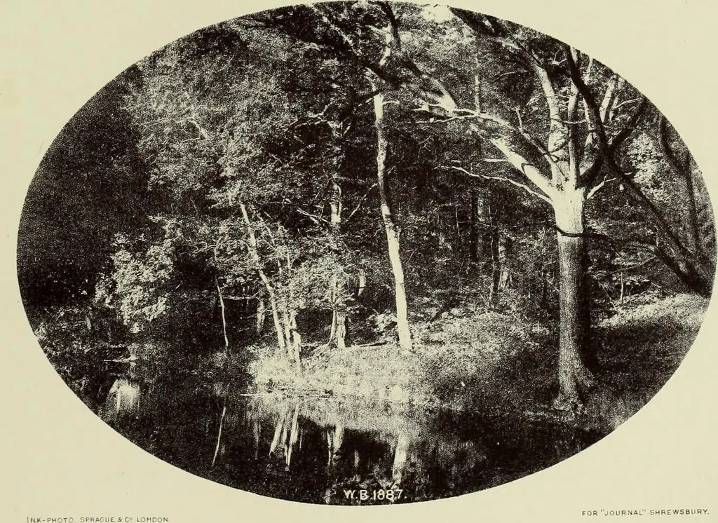 An illustration from The county seats of Shropshire : a series of descriptive sketches, with historical and antiquarian notes, of the principal family mansions, 1891, leaf 174