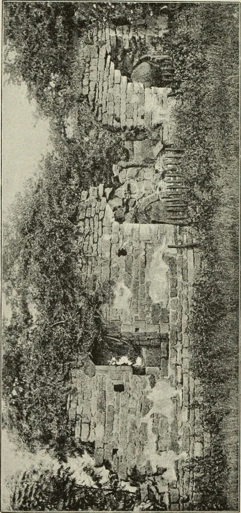 An illustration from The county seats of Shropshire : a series of descriptive sketches, with historical and antiquarian notes, of the principal family mansions, 1891, leaf 197