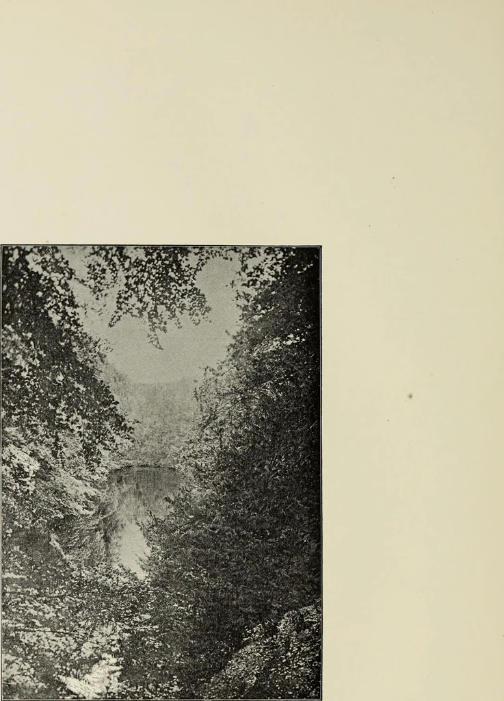 An illustration from The county seats of Shropshire : a series of descriptive sketches, with historical and antiquarian notes, of the principal family mansions, 1891, leaf 511