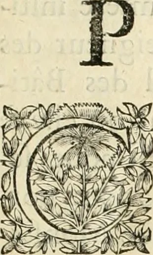 An illustration from Cours d'architecture enseigné dans l'Academie royale d'architecture : premiere[-cinquième] partie ..., 1675, leaf 12