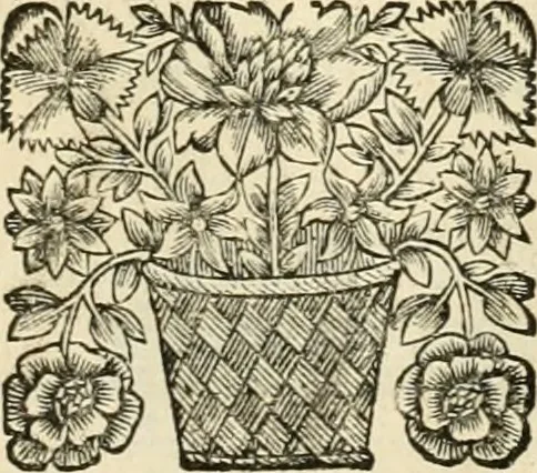 An illustration from Cours d'architecture enseigné dans l'Academie royale d'architecture : premiere[-cinquième] partie ..., 1675, leaf 146