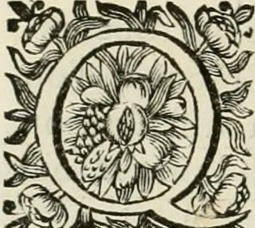 An illustration from Cours d'architecture enseigné dans l'Academie royale d'architecture : premiere[-cinquième] partie ..., 1675, leaf 299