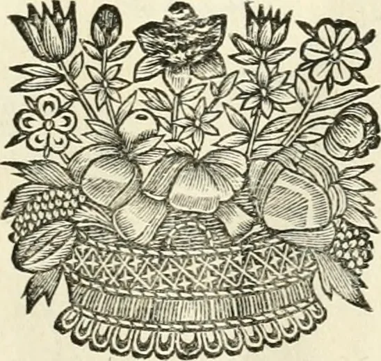 An illustration from Cours d'architecture enseigné dans l'Academie royale d'architecture : premiere[-cinquième] partie ..., 1675, leaf 54