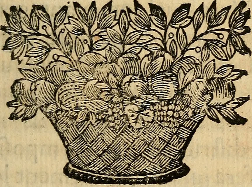 An illustration from Cours de peinture par principes, 1708, leaf 104