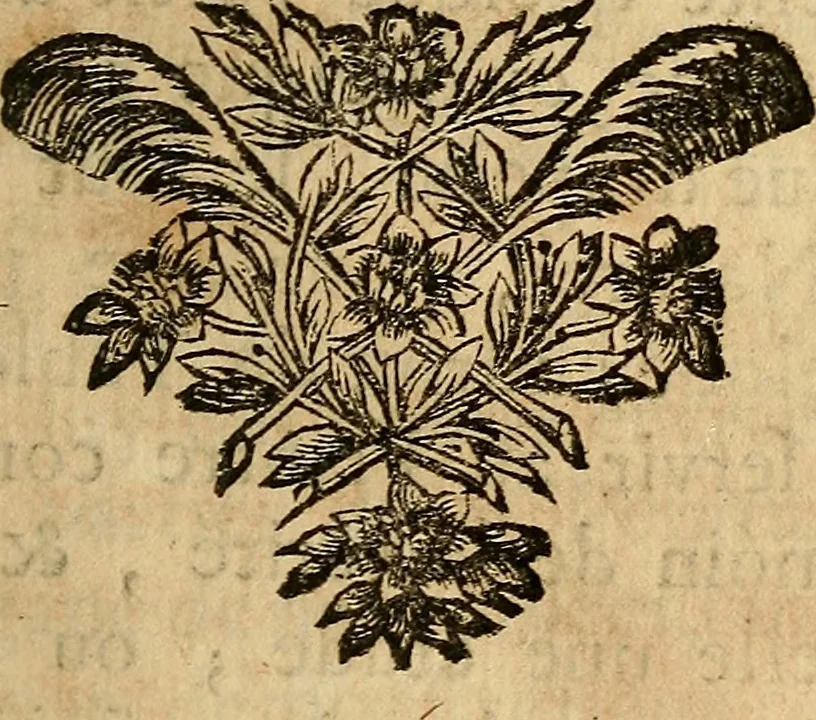 An illustration from Cours de peinture par principes, 1708, leaf 138