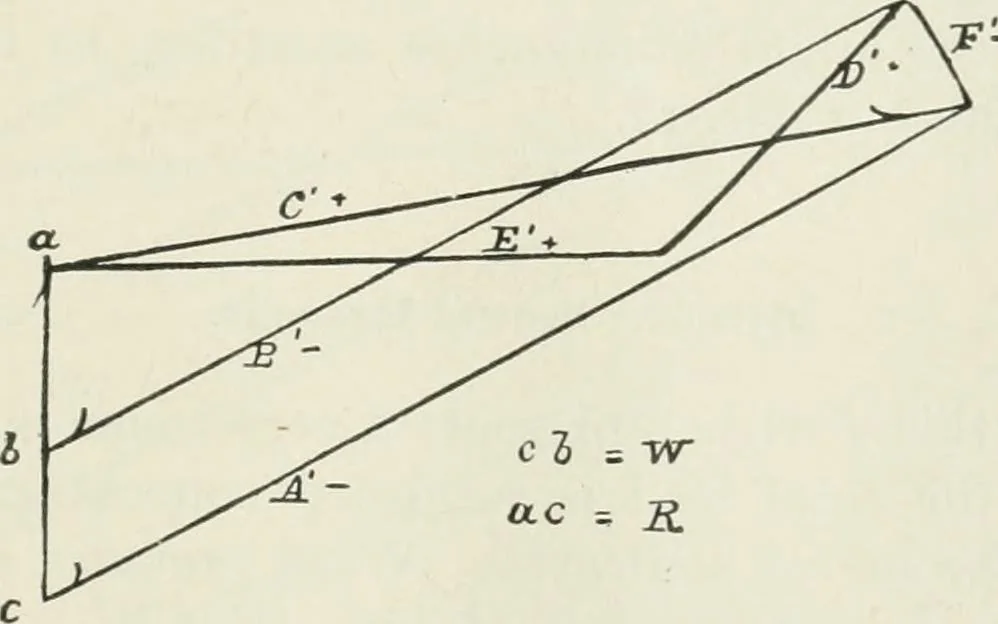 An illustration from A course on the stresses in bridge and roof trusses, arched ribs and suspension bridges, 1904, leaf 168