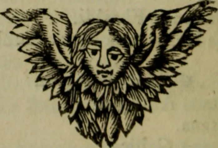 An illustration from Courte description des ordres des femmes & filles religieuses. Contenant une petite relation de leur origine, de leur progrés, & de leur confirmation. Avec les figures de leurs habits, gravez, 1691, leaf 209