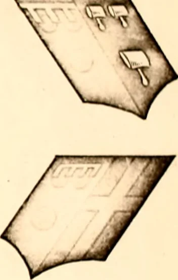 An illustration from Courtenay family armorial, containing over two hundred coats of arms taken from those at Powderham Castle, with explanatory notes, 1896, leaf 24