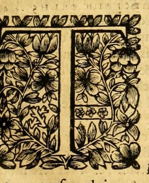 An illustration from Coustumes de Beauvoisis, 1690, leaf 25
