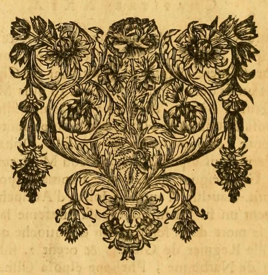 An illustration from Coustumes de Beauvoisis, 1690, leaf 984