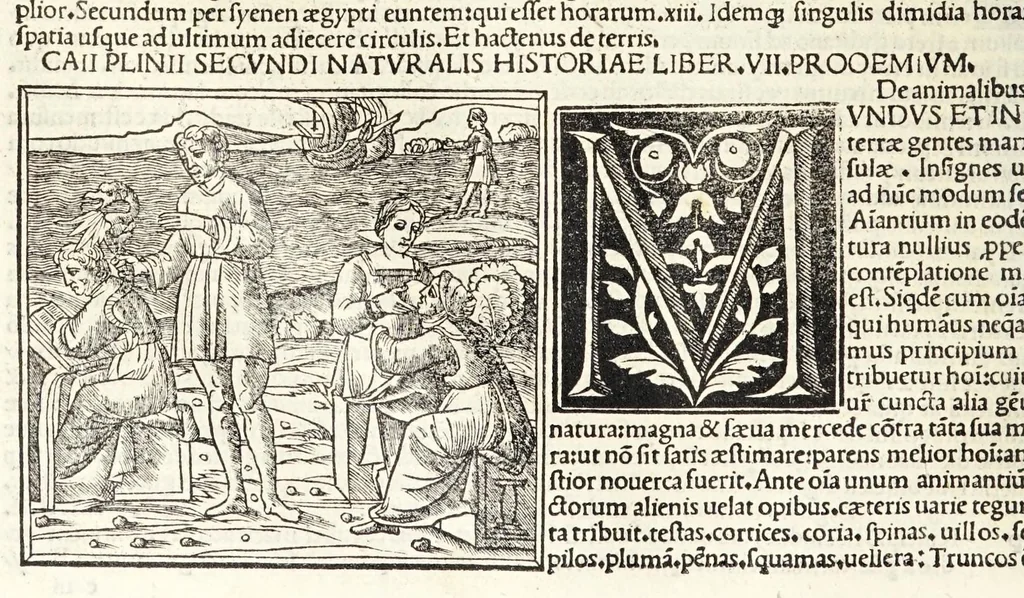 An illustration from C. Plinij Secundi Veronensis Historiae naturalis libri xxxvij, 1513, leaf 102
