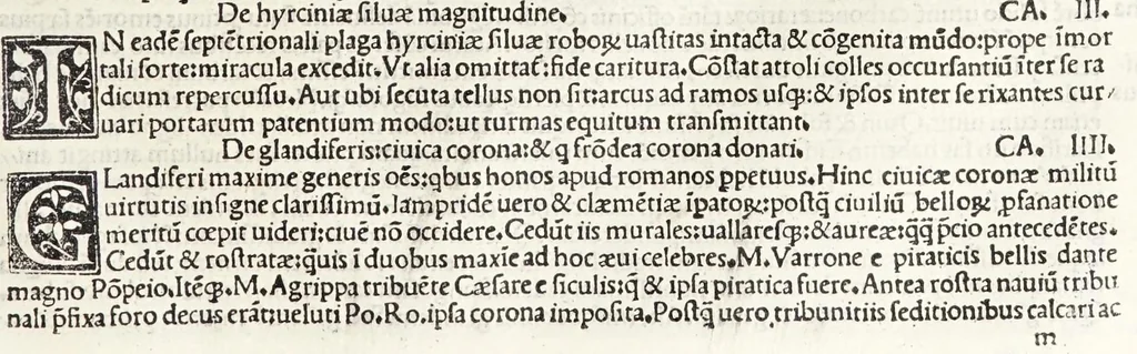 An illustration from C. Plinij Secundi Veronensis Historiae naturalis libri xxxvij, 1513, leaf 209