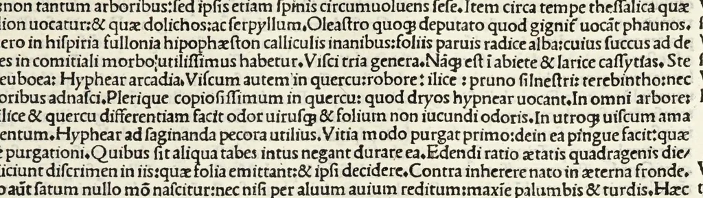 An illustration from C. Plinij Secundi Veronensis Historiae naturalis libri xxxvij, 1513, leaf 223