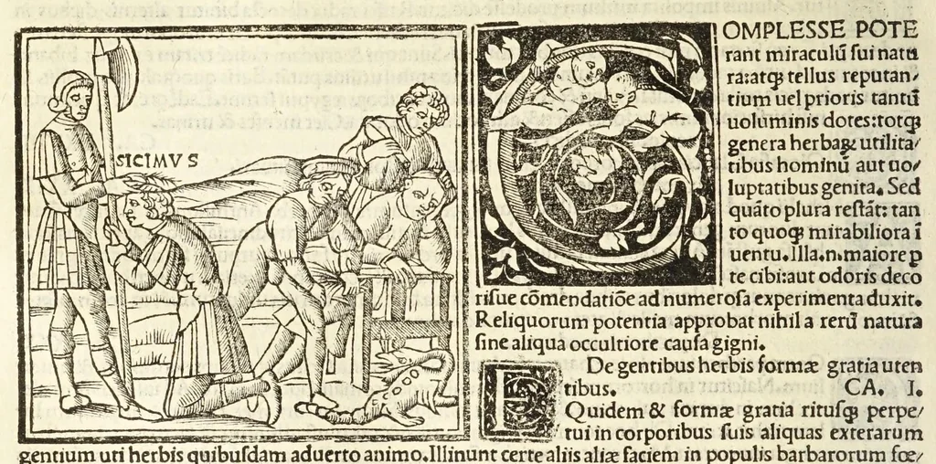 An illustration from C. Plinij Secundi Veronensis Historiae naturalis libri xxxvij, 1513, leaf 296