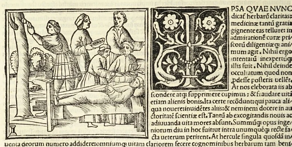 An illustration from C. Plinij Secundi Veronensis Historiae naturalis libri xxxvij, 1513, leaf 328