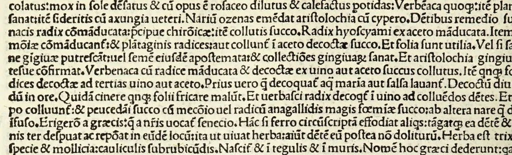 An illustration from C. Plinij Secundi Veronensis Historiae naturalis libri xxxvij, 1513, leaf 338