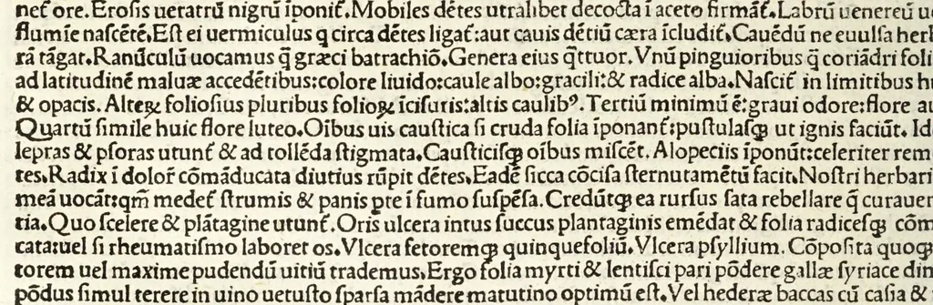 An illustration from C. Plinij Secundi Veronensis Historiae naturalis libri xxxvij, 1513, leaf 338