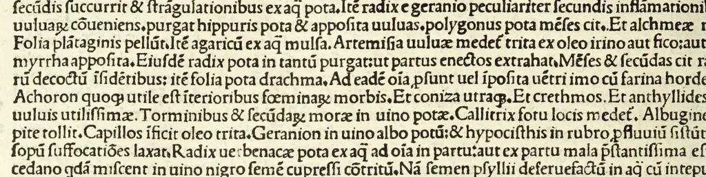 An illustration from C. Plinij Secundi Veronensis Historiae naturalis libri xxxvij, 1513, leaf 348