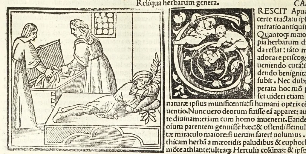 An illustration from C. Plinij Secundi Veronensis Historiae naturalis libri xxxvij, 1513, leaf 348