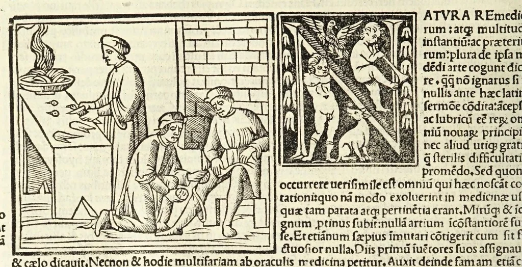An illustration from C. Plinij Secundi Veronensis Historiae naturalis libri xxxvij, 1513, leaf 374