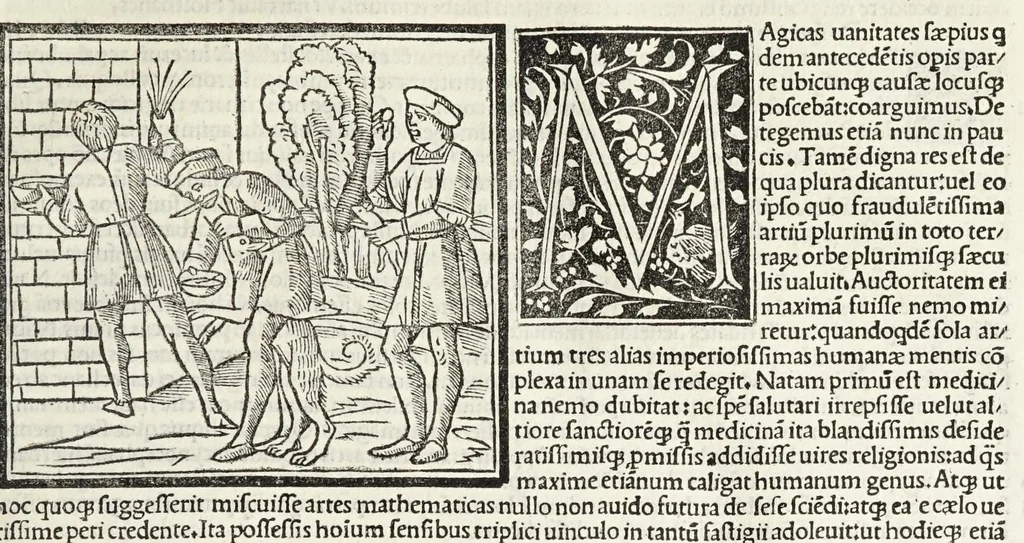 An illustration from C. Plinij Secundi Veronensis Historiae naturalis libri xxxvij, 1513, leaf 383