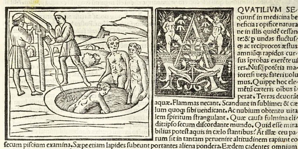 An illustration from C. Plinij Secundi Veronensis Historiae naturalis libri xxxvij, 1513, leaf 392