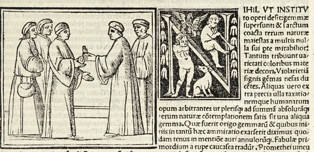An illustration from C. Plinij Secundi Veronensis Historiae naturalis libri xxxvij, 1513, leaf 457