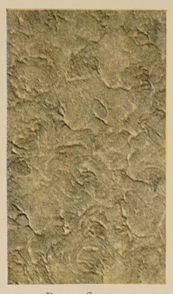 An illustration from Craftex : a permanent wall finish applied with a brush, 1920, leaf 3