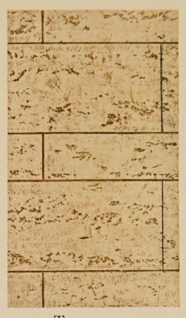 An illustration from Craftex : a permanent wall finish applied with a brush, 1920, leaf 5