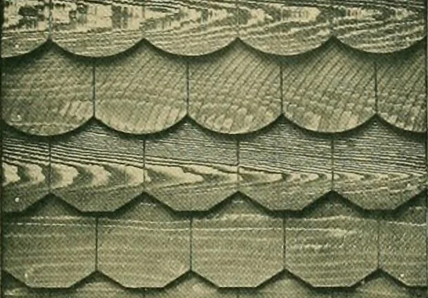 An illustration from Craftsman bungalows : a collection of the latest designs dedicated to the lover of a convenient home by Jud Yoho., 1912, leaf 98