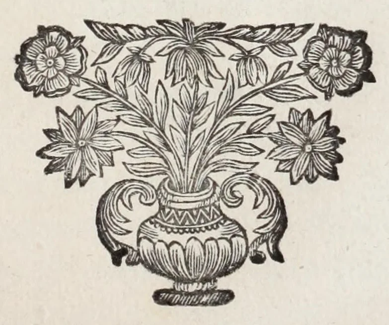 An illustration from Cranae insula Laconica, eadem & Helena dicta, & Minyarum posteris habitata : ex numismatibus Goltzianis, contra communem opinionem, quae ad Helenam Atticae respexit, 1696, leaf 33