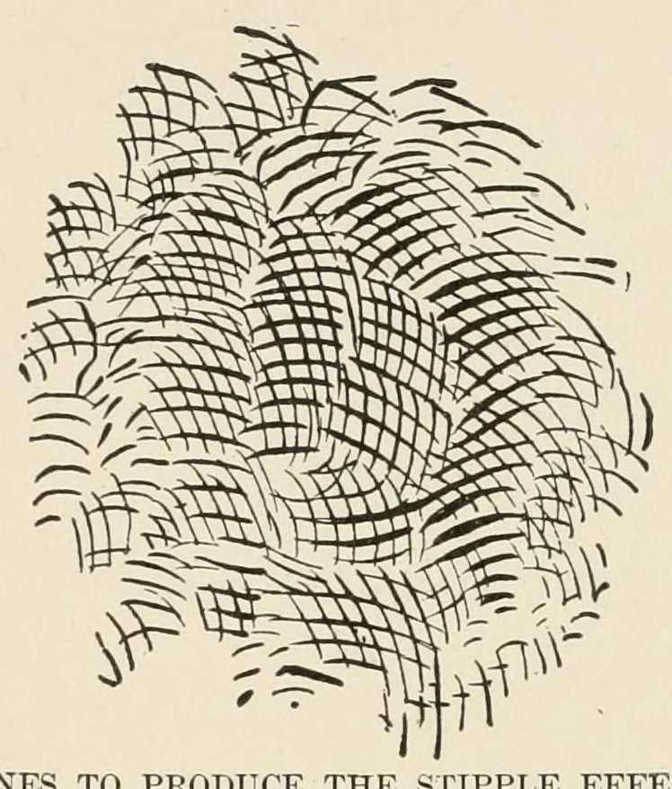An illustration from Crayon portraiture; complete instructions for making crayon portraits on crayon paper and on platinum, silver, and bromide enlargements, also directions for the use of transparent liquid water colors and for making French crystals, 1892, leaf 66