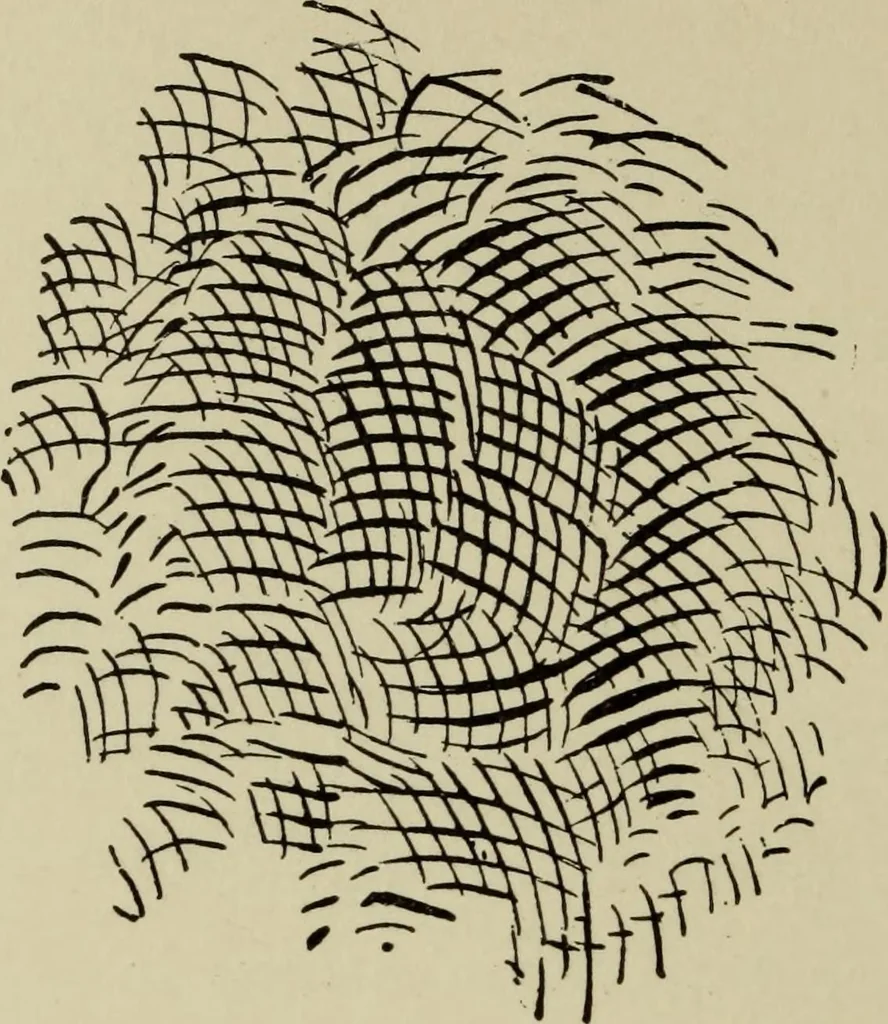 An illustration from Crayon portraiture; complete instructions for making crayon portraits on crayon paper and on platinum, silver, and bromide enlargements, also directions for the use of transparent liquid water colors and for making French crystals, 1892, leaf 61