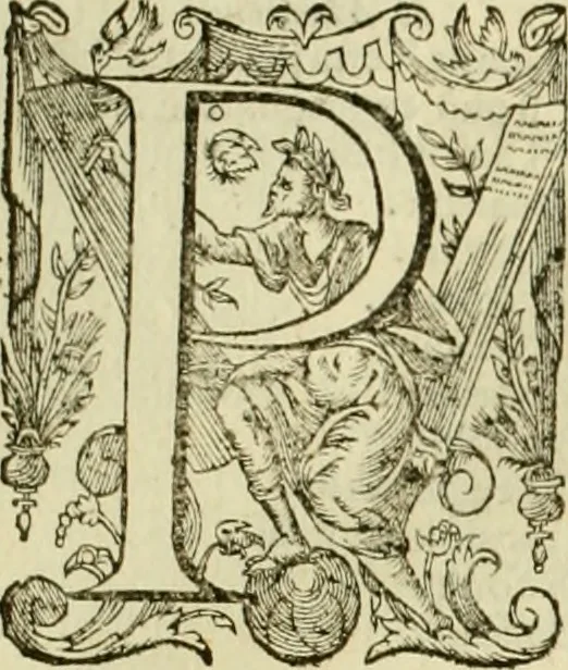 An illustration from Cremona fedelissima citta et nobilissima colonia de Romani, 1642, leaf 242